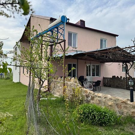 guesthouse gareji Udabno Eksteriør billede